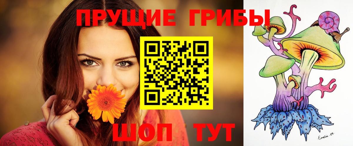 Псилоцибиновые грибы Cubensis Кимры