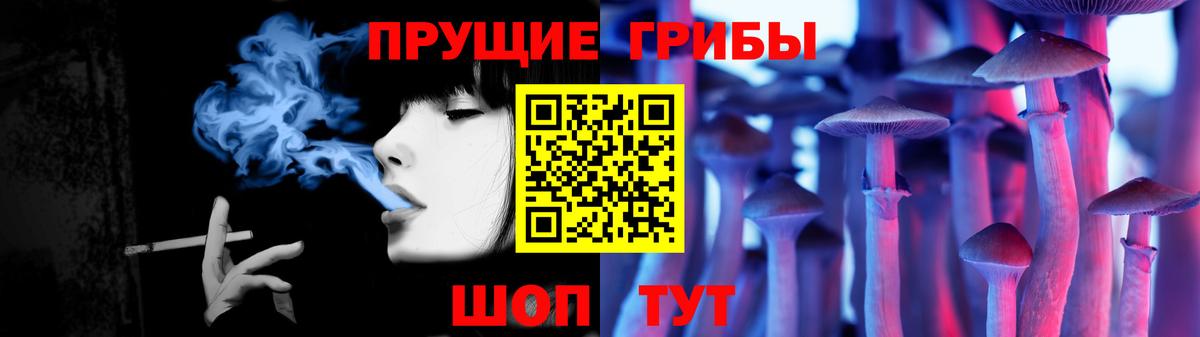 Кимры  Псилоцибиновые грибы GOLDEN TEACHER  Вход с VPN 